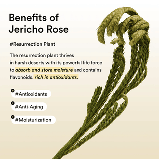 Abib Collagen Eye Patch Jericho Rose Jelly 60pcs