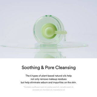 Abib Pore Cleansing Oil Heartleaf Oil-wash 200ml