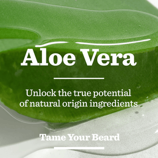 BULLDOG Original Beard Care Kit