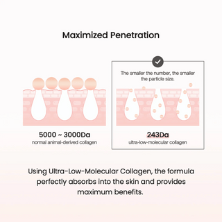 Biodance Pore Tightening Collagen Ampoule 50ml